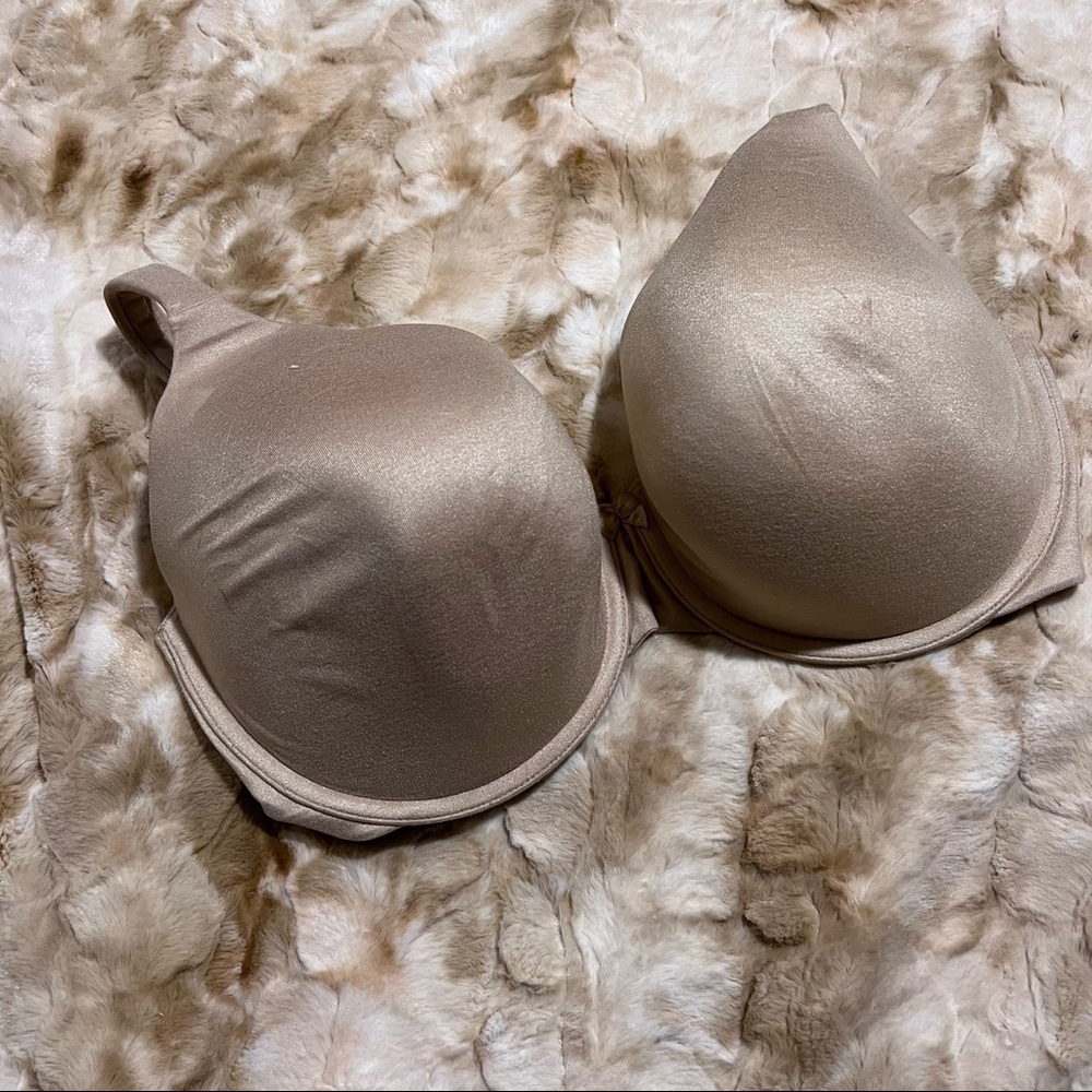 CACIQUE t-shirt bra